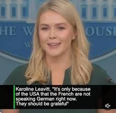 Priceless. Danke!!!! Great response from Belgium 🇧🇪🩷  --‐------------------------- Oh, merci beaucoup, America! 🇺🇸 Because  apparently, without you, all of Europe would be goose-stepping its way  through history class right now—according to the