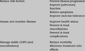 copd management plan components and treatment goals for