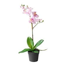 Ikea Us Furniture And Home Furnishings Artificial Potted Plants Artificial Plants Decor Fake Plants Decor