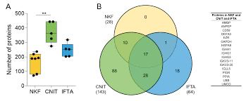 Start by marking la princesse et la bête t02 as want to read l'intrigue bien qu'allant en s'épaississant, reste classique pour le genre, pour l'aspect fantasy de la série je précise, même si les touches de magie de ce tome ajoutent un petit plus qui est agréable. Ijms Free Full Text Proteomic Characterization Of Urinary Extracellular Vesicles From Kidney Transplanted Patients Treated With Calcineurin Inhibitors Html