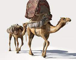 Camel — west berlin (stationary traveller 1984). Camel 3d Models Cgtrader