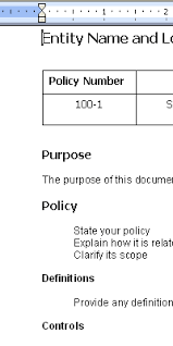 Policies And Procedures Sop Template Copedia Check And Balance Standard Operating Procedure Template Policies