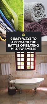 If you do not clean your house regularly, many a time you would experience a musty smell. How To Get Rid Of Mildew Smell In Your House In 9 Easy Ways
