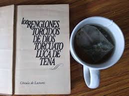 En su delirio, cree ser una investigadora privada a cargo de un equipo de detectives dedicados a esclarecer complicados casos. Los Renglones Torcidos De Dios Torcuato Luca