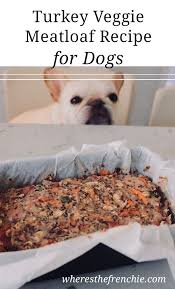 Recipe Turkey Veggie Meatloaf For Dogs Where S The Frenchie In 2020 Dog Food Recipes Dog Meatloaf Recipe Healthy Dog Food Recipes