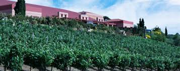 Rummy mesa walmart / 19 juegos de mesa que los adultos van a querer jugar en. Megales Meres Nemeas 2018 Turtles Grapes