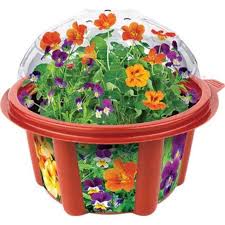Where can i buy a wal mart card besides at walmart stores? Edible Flowers Garden Multi Colored Walmart Com Walmart Com