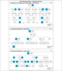 New Nomenclature Pedigree Charts All Individuals Are