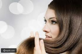 زيت عافية للشعر اخبار