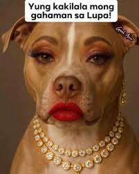 Hahah #goalann #fypシ゚ #fypviral #kakilala #gahaman #lupa