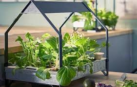 Circondati di piante e trasforma ogni stanza in una serra rigogliosa… un vero. Arriva Il Giardino Idroponico Ikea Che Permette Di Coltivare Le Verdure In Casa
