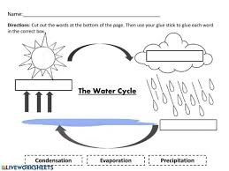 This 3 page pdf features a super cute water cycle wheel and a little water facts booklet. The Water Cycle Worksheets 99worksheets
