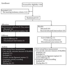 Flow Chart Of The Study Enrolment Randomization Followup