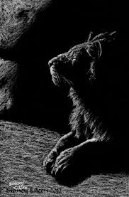 Black And White With Color Drawing Black And White Archives By Sidney Eileen Black Paper Black Paper Drawing Art