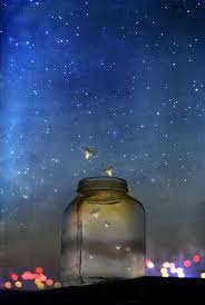 Justbesplendid Firefly Catching Fireflies Stardust