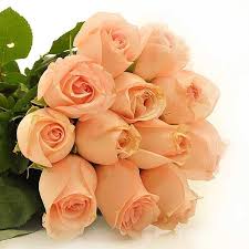 Make an international flower delivery today and send flowers worldwide with floraqueen's service to over 100 countries. Peachy Kisses Secretary Week Teachers Day Australia Peach Roses Rose Flower Delivery