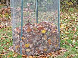 Check spelling or type a new query. How To Take Care Of Outdoor Plants In Winter