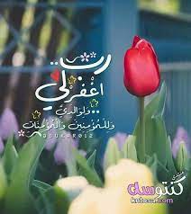 pin on doo32