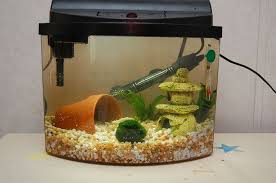 Sirius New Tank Real Plants Betta Leaf Extract