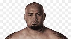 Mark Hunt png images