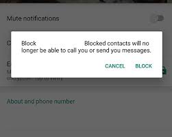 You usually won't be able to tell whether or not a contact has blocked you by sending a text message, so you'll need to call them. How To Message A Person Who Blocked You On Whatsapp Laptrinhx