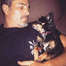 It is with a heavy heart that I have to say good bye to my sweet little  angel. She was hit by a car early Saturday morning after she escaped the dog