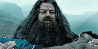 Harry Potter: 10 Reasons Why Harry & Hagrid Aren't Real Friends