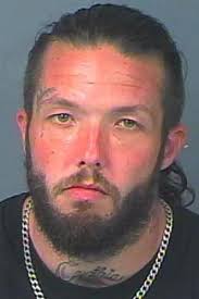 Spring Hill man charged with carjacking