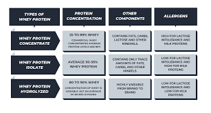 Ultimate Whey Protein Guide For Beginners Nutrabay Com