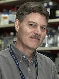 NIH Immunology Faculty