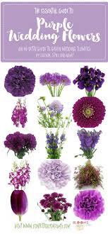 Check spelling or type a new query. Complete Guide To Purple Wedding Flowers Purple Flower Names Pics