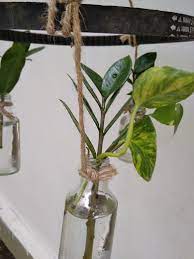 Creative Hanging Planter