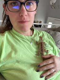 How often can you feed an adult bearded dragon hornworms?