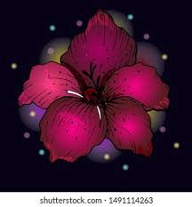 .bunga kumpulan mewarnai gambar bunga indonesia alamendah s blog 12 tulip drawing bunga for free download on ayoqq cliparts drawing bunga raya sketch coloring page kumpulan. Similar Images Stock Photos Vectors Of Bunga Raya Flower Vector Illustration 150442133 Shutterstock