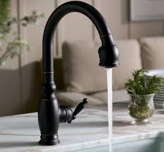 spout on a kohler gooseneck faucet