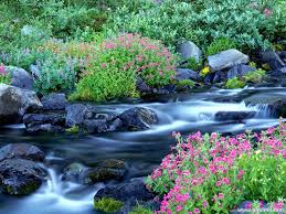 Checkout high quality nature wallpapers for android, pc & mac, laptop, smartphones, desktop and tablets with different resolutions. Free Beautiful Nature Wallpapers Hd Wallpapers Free Download Desktop Background