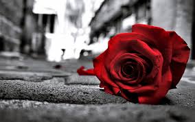 Image result for in love
