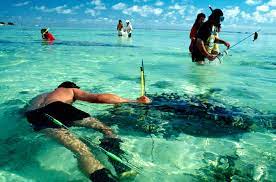In Search Of The Cook Islands New Zealand Geographic