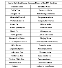 Scientific Name Google Search Silver Fir Scientific Names