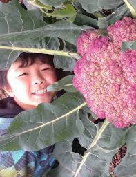 2023 Contra Costa Leadership in Sustainability Awards