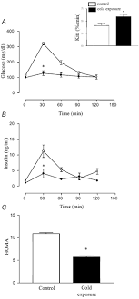Drama melayu bersiri 100 episod pelakon; Cold Exposure Induces Tissue Specific Modulation Of The Insulin Signalling Pathway In Rattus Norvegicus Gasparetti 2003 The Journal Of Physiology Wiley Online Library