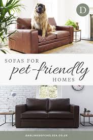 Fabric And Leather Sofas For Pet Lovers Darlings Of Chelsea Pet Friendly Living Room Living Room Sofa Trendy Living Rooms