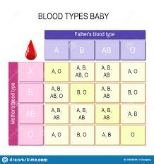 blood types baby chart stock vector illustration of