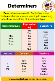 Determiners Detailed Expression And Examples Determiners Can Be Grouped Under Several Groups Table Of Co English Grammar Determiners Learn English Vocabulary