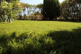 Check spelling or type a new query. Vente Gazon En Rouleaux A La Coupe Sur La Cote D Azur Sud Gazon Synthetique