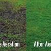 Before you consider what type of lawn aerator is best suited for you, you should take into consideration that there are two main easylawnmowing.co.uk is a participant in the amazon services llc associates program, an affiliate. 1