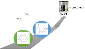 The principle is based on a change in the inductance within the loop which is caused by the metallic components of passing vehicles. Toxins Free Full Text Dispersive Solid Phase Extraction Using Magnetic Carbon Nanotube Composite For The Determination Of Emergent Mycotoxins In Urine Samples Html