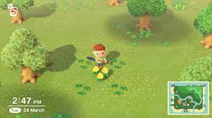 Flowers and trees are both vital resources to have on your island in animal crossing new horizons. How To Make Hybrid Flowers In Animal Crossing New Horizons Allgamers