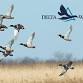 2026 Lee County Chapter Delta Waterfowl Banquet event image