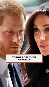 Liam couldn't stand it and he pulled Harry's shirt up in the middle of a  show, but his “spicy” gesture made Harry uncomfortable because it wasn't  the first time.